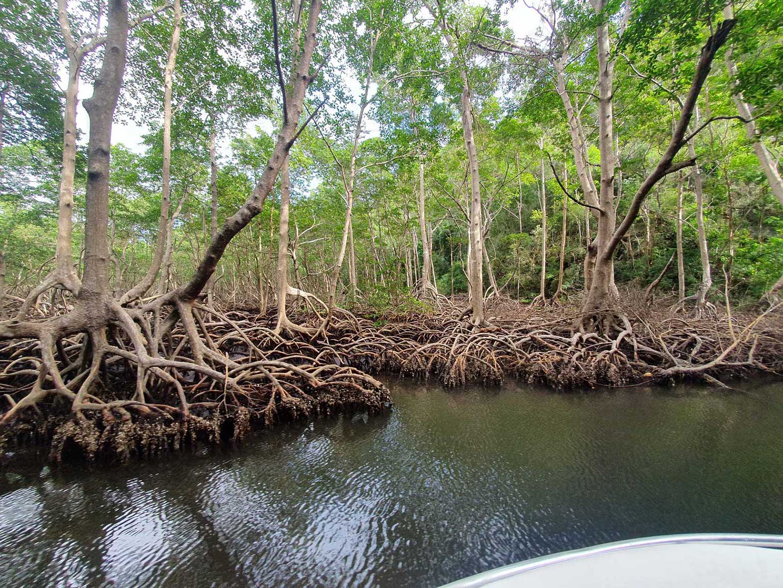 Parque Nacional Los Haitises Noreste
