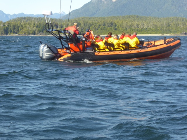 Canada Whale tour Tofino
